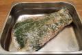 images/Bilder-Gal/Fisch/Fisch-05.jpg