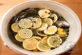 images/Bilder-Gal/Fisch/Fisch-15.jpg