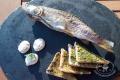 images/Bilder-Gal/Fisch/Fisch-19.jpg