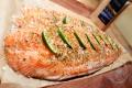 images/Bilder-Gal/Fisch/Fisch-21.jpg