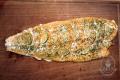 images/Bilder-Gal/Fisch/Fisch-28.jpg
