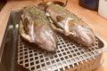 images/Bilder-Gal/Fisch/Fisch-34.jpg