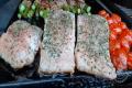 images/Bilder-Gal/Fisch/Fisch-38.jpg