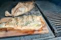 images/Bilder-Gal/Fisch/Fisch-42.jpg