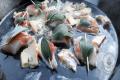 images/Bilder-Gal/Fisch/Fisch-44.jpg