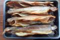 images/Bilder-Gal/Fisch/Fisch-49.jpg
