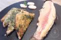 images/Bilder-Gal/Fisch/Fisch-82.jpg