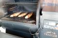 images/Bilder-Gal/Fisch/Fisch-83.jpg