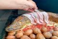 images/Bilder-Gal/Fisch/Fisch-87.jpg