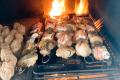 images/Bilder-Gal/Fisch/Fisch-88.jpg