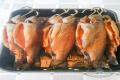 images/Bilder-Gal/Fisch/Fisch-89.jpg
