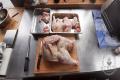 images/Bilder-Gal/Fleisch/Fleisch-154.jpg